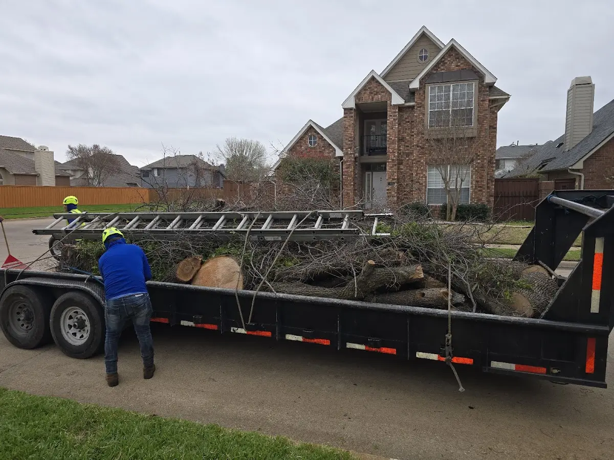 Expert Lot Clearing with proper safety equipment in Terral